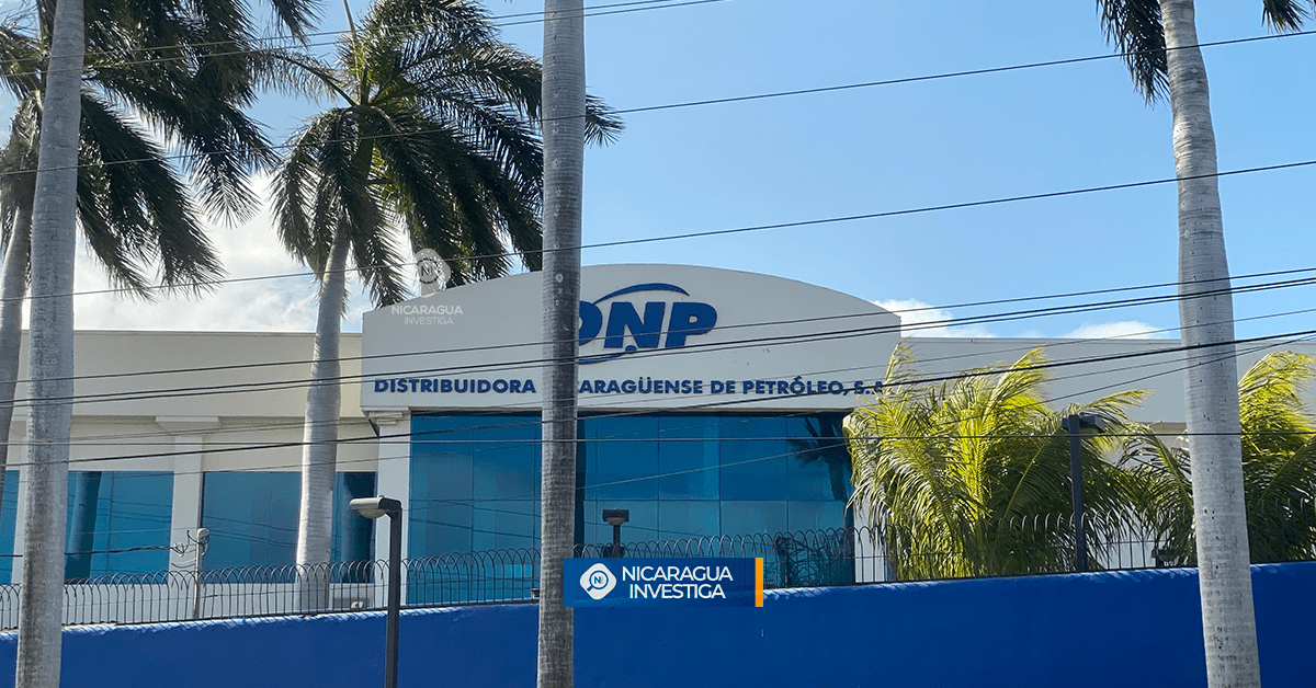 DNP | Nicaragua Investiga