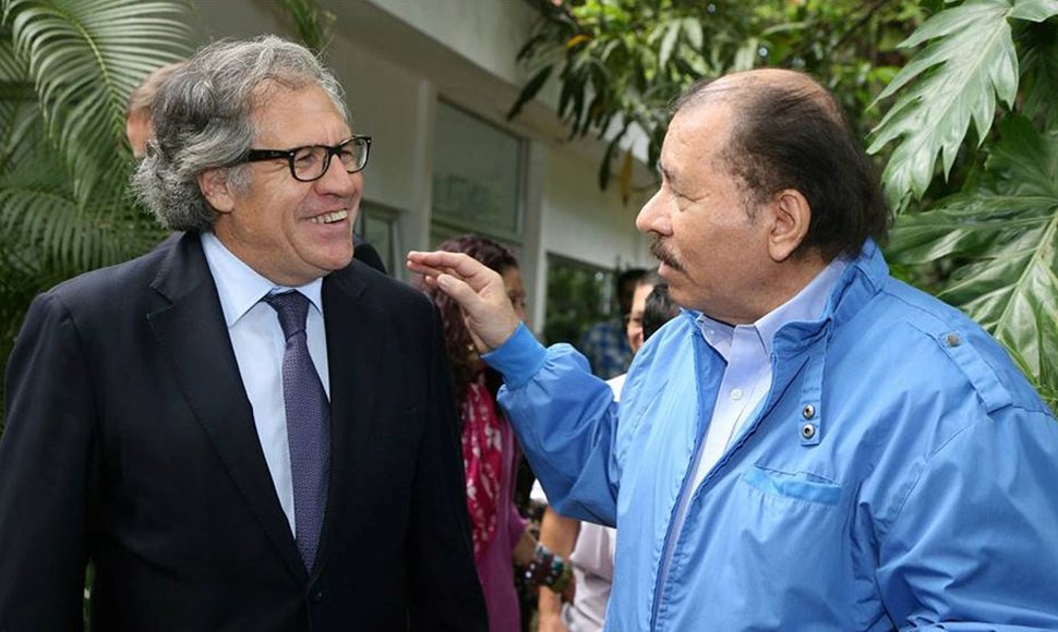 OEA y ortega | Nicaragua Investiga